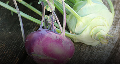 Kohlrabi