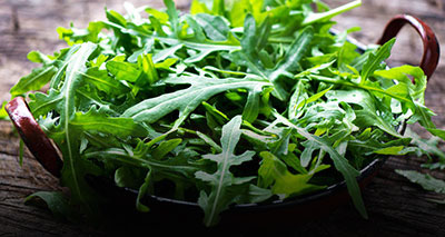 Rucola