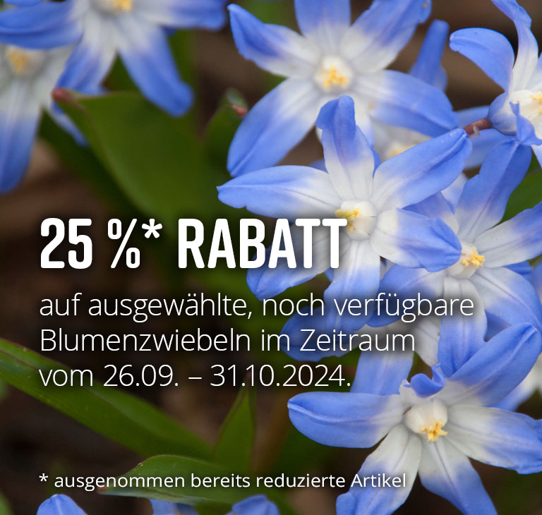 Sichern Sie sich 25 % Rabatt auf alle noch verfgbaren Blumenzwiebeln und -knollen fr die Herbstpflanzung!