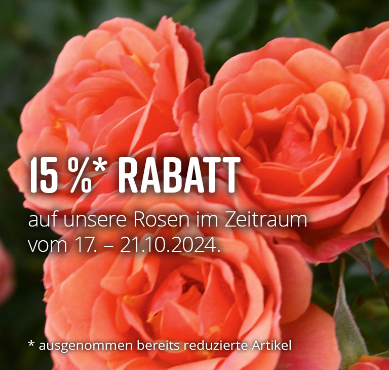 Sichern Sie sich 15 % Rabatt auf unser Rosensortiment.