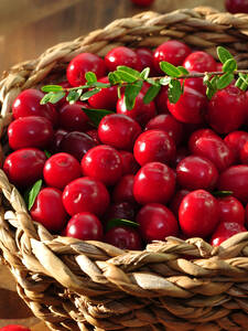 Obstgehlze - Cranberry Red Star